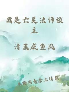 我是亡灵法师领主