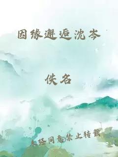 因缘邂逅沈岑