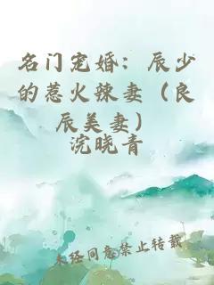 名门宠婚：辰少的惹火辣妻（良辰美妻）