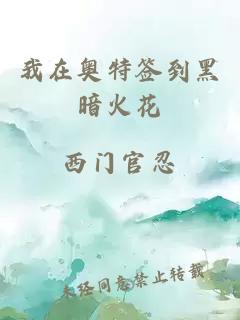 我在奥特签到黑暗火花