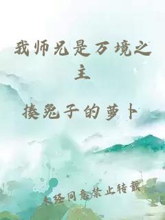 我师兄是万境之主